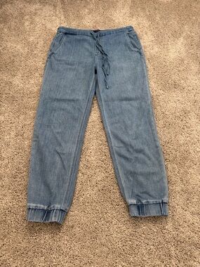 7 For All Mankind Denim Jogger Jeans Size 28 Light Wash Pull On